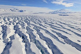 Băng Nam Cực đang tan chảy nhanh gấp 10 lần